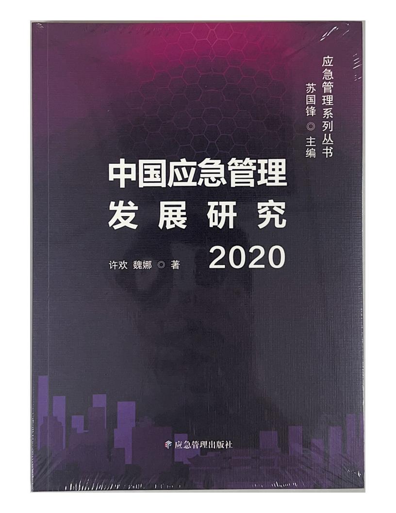 中国应急管理发展研究（2020）